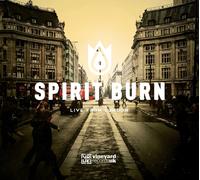Vineyard Worship Spirit Burn: Live Worship from Vineyard 2013 (CD)