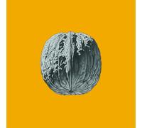 L’ALBERO DELLE NOCI (LP DELUXE COLORATO)