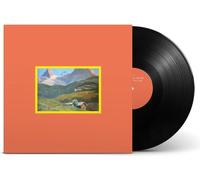 Vinile Fine Before You Came - C'e Ancora Amore