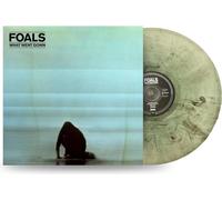 Vinile Foals - What Went Down