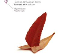 bach: motetten bwv 225-230