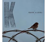 Vinile Kaos - Karma (2 Lp)