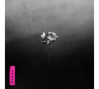 Lotus (Electric Pink Vinyl)