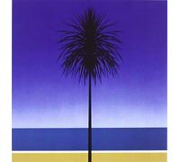 Vinile Metronomy - The English Riviera