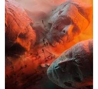Muse Will Of The People (Red Vinyl) (Vinyl LP)