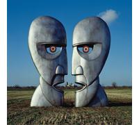 Pink Floyd The Division Bell (Vinyl LP)