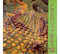 Screaming Trees invisible lantern (Vinyl LP)