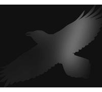 Sigur Ros Odins Raven Magic Doppio Vinile Lp Nuovo Sigillato