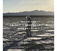 Spiritualized And Nothing Hurt (Vinyl LP) 12" Album
