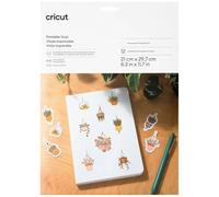 Vinile stampabile - formato A4 (12 pz)