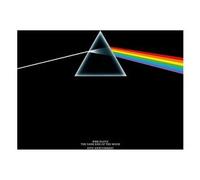 Pink Floyd - Dark Side Of The Moon (Anniversary Edition) (Reissue) (Remastered) (LP)