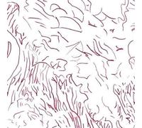 Tom Skinner - Voices Of Bishara