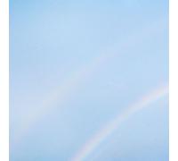 Turnstile - Never Enough (LP)