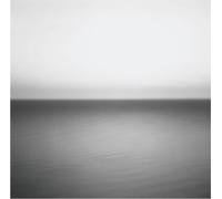 U2 No Line On the Horizon (Vinyl LP) 10th Anniversary 12" Album