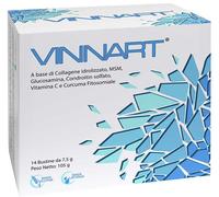 VINNART 14Bust.