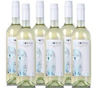 Vino Bianco Dealcolato | Senza Alcol Free 0.0 | Asio Otus | 6 Bottiglie 75 cl | Vini Dealcolati | Tappo a Vite