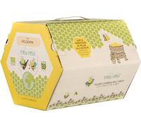 Vino Bianco Passerina IGP Vola Volè Orsogna Bio Vegan Bag in Box 3 litri 12,5% vol