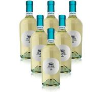 Vino Bianco Sauvignon Suade Veneto IGT Astoria 6 bottiglie 75 cl.