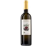 Vino Bianco Tramonti Doc | Per Eva | Tenuta San Francesco | Costa d'Amlfi | Eccellanza Costiera Amalfitana | Bottiglia 75cl | Idea Regalo