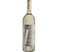 VINO CERETTO ARNEIS BLANGE 2021 - (1 pz) LANGHE DOC-1,5LT