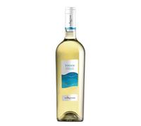 Vino Contini Tyrsos Vermentino DOC box 6 bottiglie 75 cl