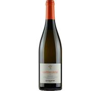 VINO COSTEBIANCHE CHARDONNAY 2021 (1 pz) PIEMONTE DOC-COPPO ITALIA-75CL