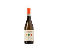 Vino Dolce Moscato D'Asti DOCG Fiori di Campo 2024 - Cascina Carlot