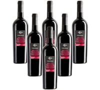 Vino e Visciole cl. 75 Velenosi 6 bottiglie 75 cl.
