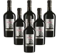 Vino e Visciole Selezione cl. 50 Velenosi 6 bottiglie