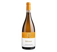 VINO FIANO DI AVELLINO BECHAR 2022 (6 pz) DOCG ANTONIO CAGGIANO