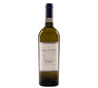 Vino Greco di Tufo DOCG Terre D'aione 2023 Bianco Pregiato 750ml Spedizione Fast