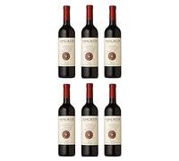 Vino Merlot Friuli Grave DOC - 6 Bottiglie