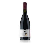 Vino Rosso Cabernet Colli Trevigiani IGT | Bepin de Eto