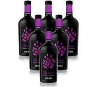 Vino Rosso Cabernet Sauvignon Icòna Veneto DOC Astoria 6 bottiglie 75 cl.