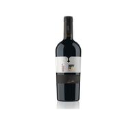 Vino Rosso Colli di Conegliano DOCG Greccio Rosso 2019 | Bepin de Eto