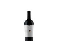 Vino Rosso Colli Trevigiani IGT Merlot 2023 | Bepin de Eto