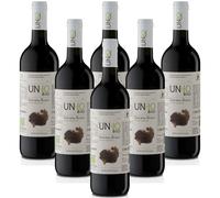 Vino Rosso IGT Toscana UN-IO BIO 6 bottiglie 75 cl. Castelli Del Grevepesa