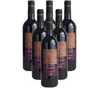Vino rosso Toscana IGT Cabernet Sauvignon Poderi Firenze (6 bottiglie 75 cl.)