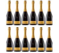 Vino Spumante - 12 Bottiglie da 0,75. l. -Conegliano Valdobbiadene D.O.C.G. Extradry Prosecco Superiore Millesimato - BiancaVigna