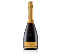 Vino Spumante - Conegliano Valdobbiadene D.O.C.G. Extradry Prosecco Superiore Millesimato - BiancaVigna