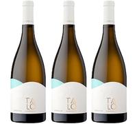 VINO TALO' VERDECA 3 BOTTIGLIE CANTINE SAN MARZANO - Profumo Personale al Vino