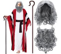 Vinsatin 6 pezzi costume da Mose Raso Pesach costume biblico accessorio parrucca barba bastone per Pasqua ebraica seder chiesa giochi adulti (XL)
