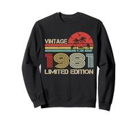 Vintage 1981 Limited Edition Retro Year Vintage Birthday Felpa
