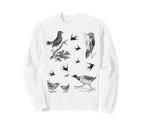Vintage Bird Art per Le Donne Che Amano Gli Uccelli Uomini ammiratori di Uccelli Felpa