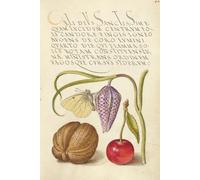 Vintage Botanical and Calligraphy Lined Notebook - A beautifully illustrated journal inspired by Renaissance natural studies - 120 lined pages for writing, notes, and daily reflections