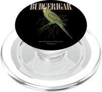 Vintage Budgerigar Bird Watching Arte Natura Amore Uccelli PopSockets PopGrip per MagSafe