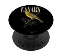 Vintage Canary Bird Watching Art Natura Amore Uccelli PopSockets PopGrip Adesivo