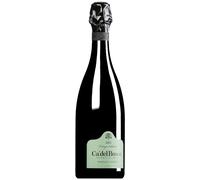 Vintage Collection Franciacorta DOCG 2021 dosage zéro 0,75 l