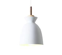 Vintage Creative Hanging Light Personalized Chandelier Dining Table Metal Pendant Lights Single Head Bohemian Ceiling Lighting Fixture for Restaurant Living Room Bar Dignified