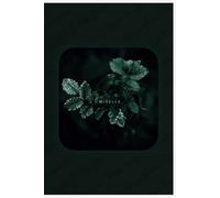 Vintage Dark Academia Notebook: Aesthetic Lined Notebook for Writing & Reflection - Forest Green: Forest Green - Mirelle: A wistful moment of quiet reflection